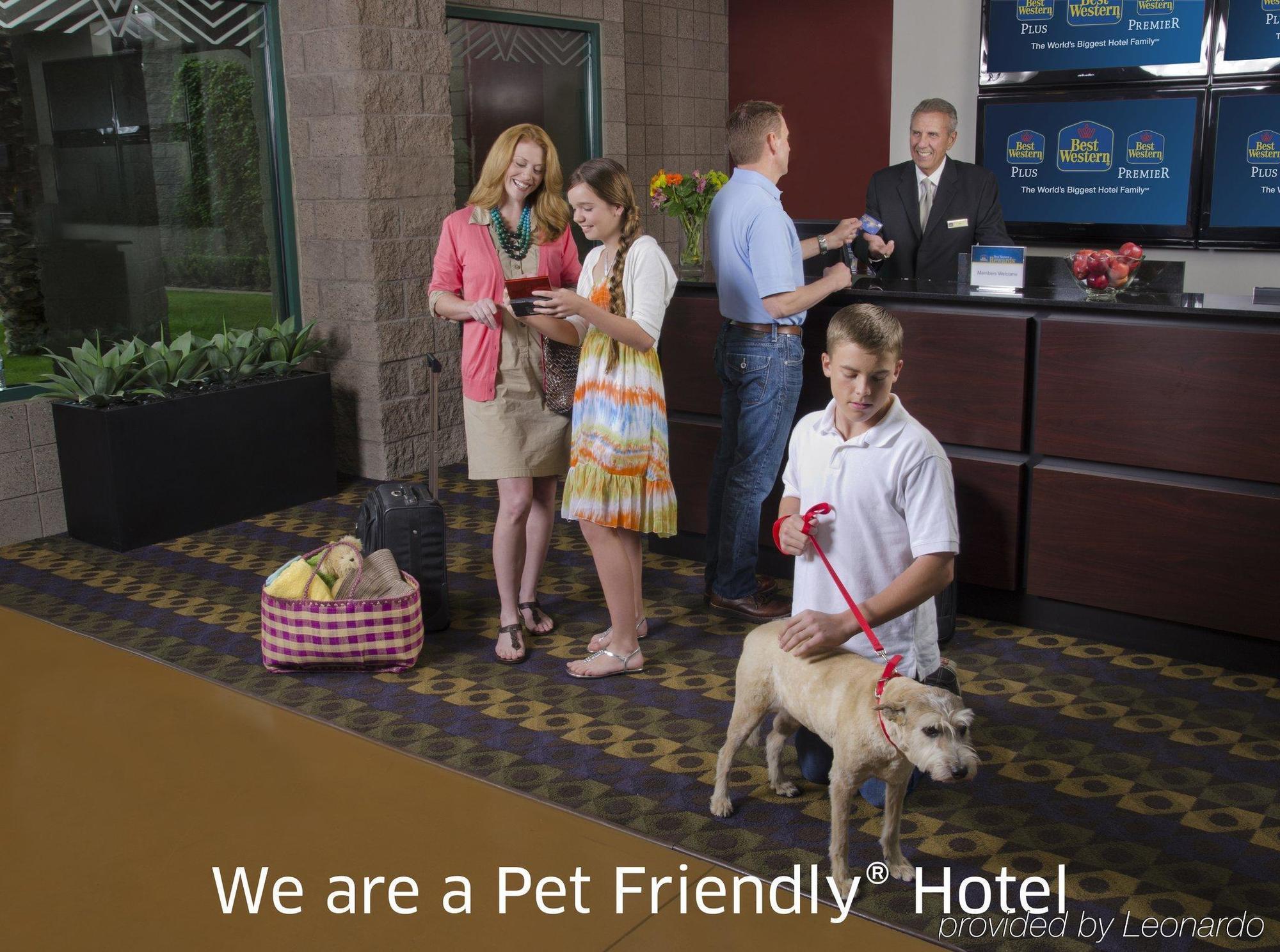 Best Western Plus Cotton Tree Inn North Salt Lake Buitenkant foto